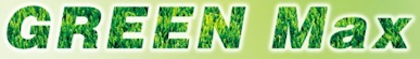 Green Max Tires Logo